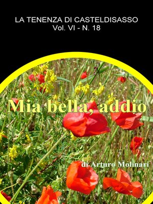 cover image of Mia bella addio